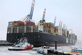 Hafensegeler